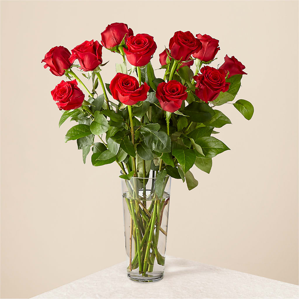 Long Stem Red Rose Bouquet – Blossom And Brew Co, Menasha WI