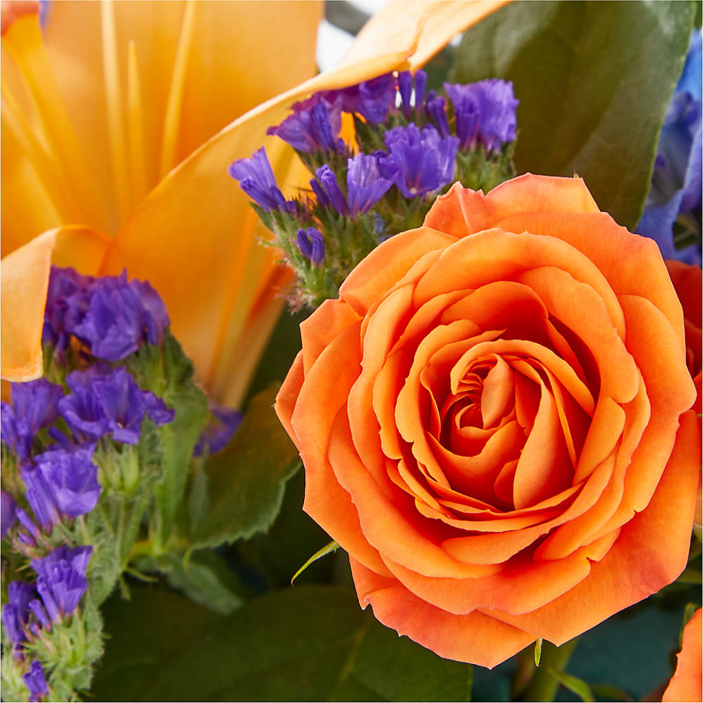 Radiant Citrus Box Bouquet – Blossom And Brew Co, Menasha WI