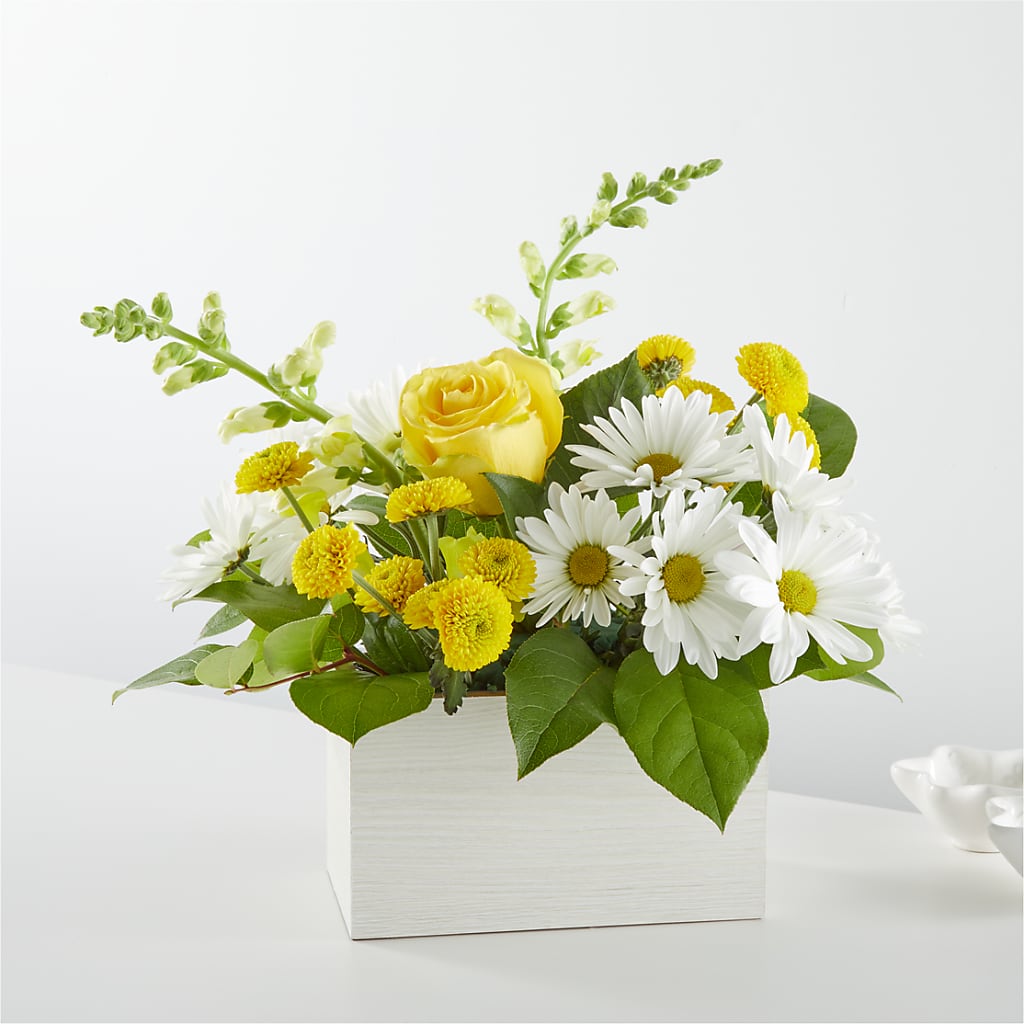 Sun Salutation Box Bouquet – Blossom And Brew Co, Menasha WI
