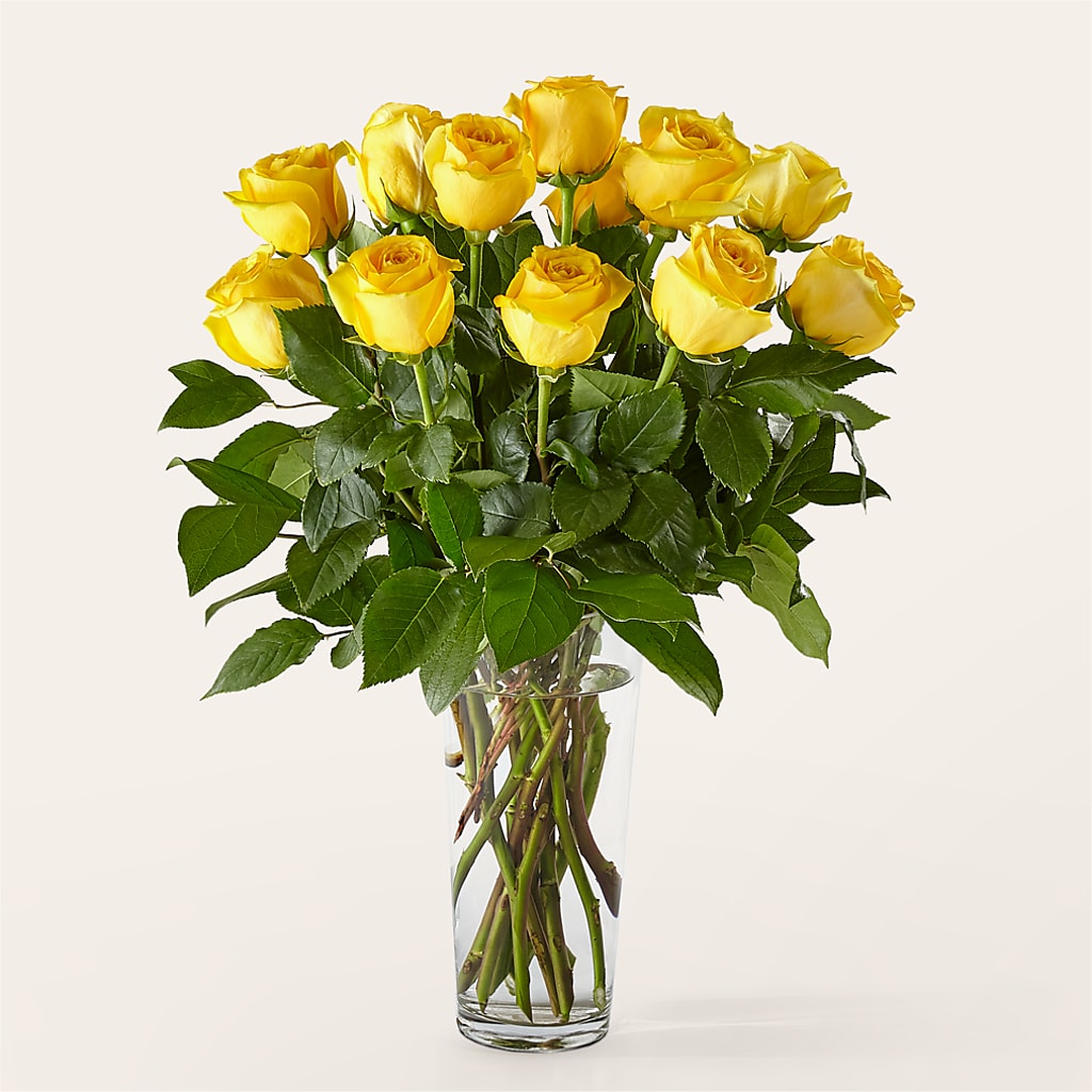 Long Stem Yellow Rose Bouquet – Blossom And Brew Co, Menasha WI