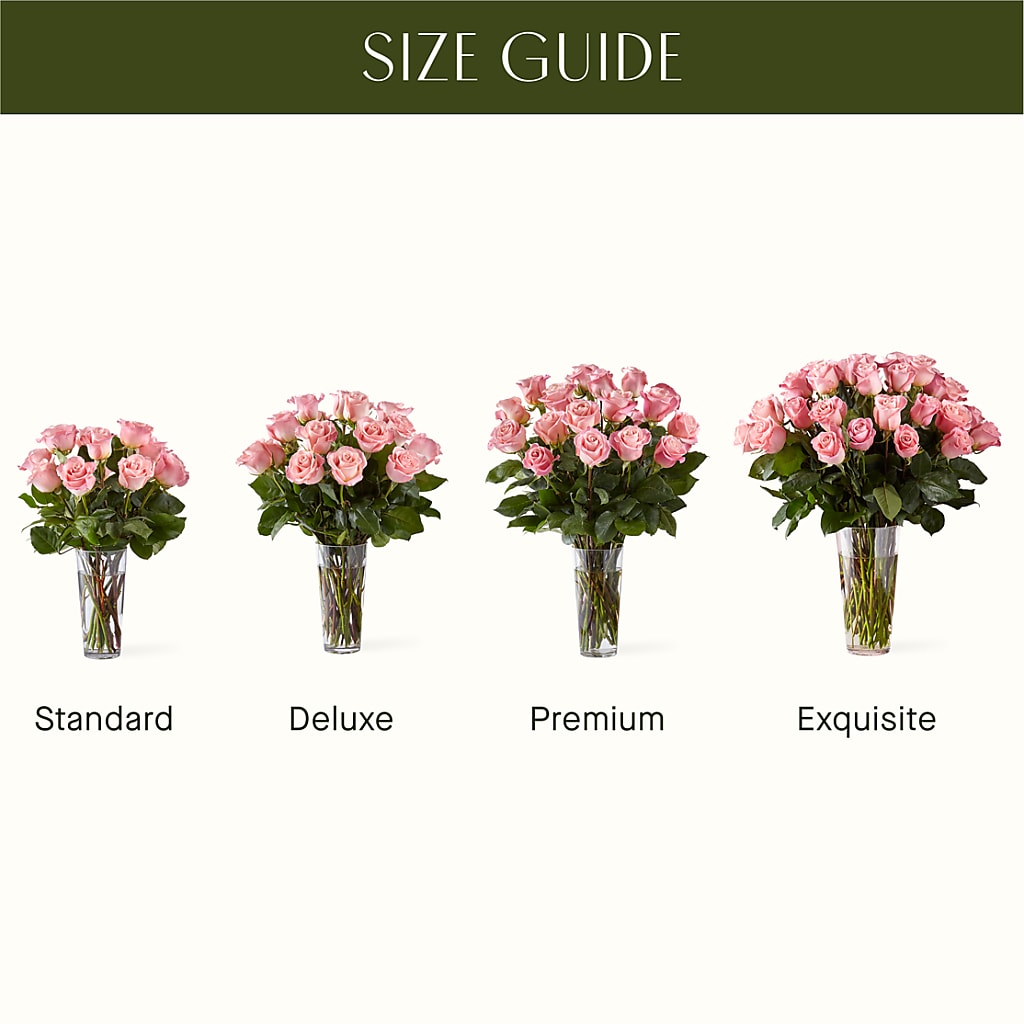 Long Stem Pink Rose Bouquet – Blossom And Brew Co, Menasha WI