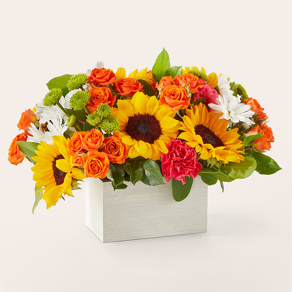 Sun-drenched Blooms Box Bouquet – Blossom And Brew Co, Menasha WI