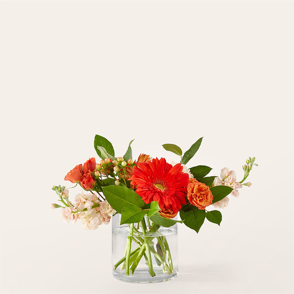 Paloma Please Bouquet – Blossom And Brew Co, Menasha WI