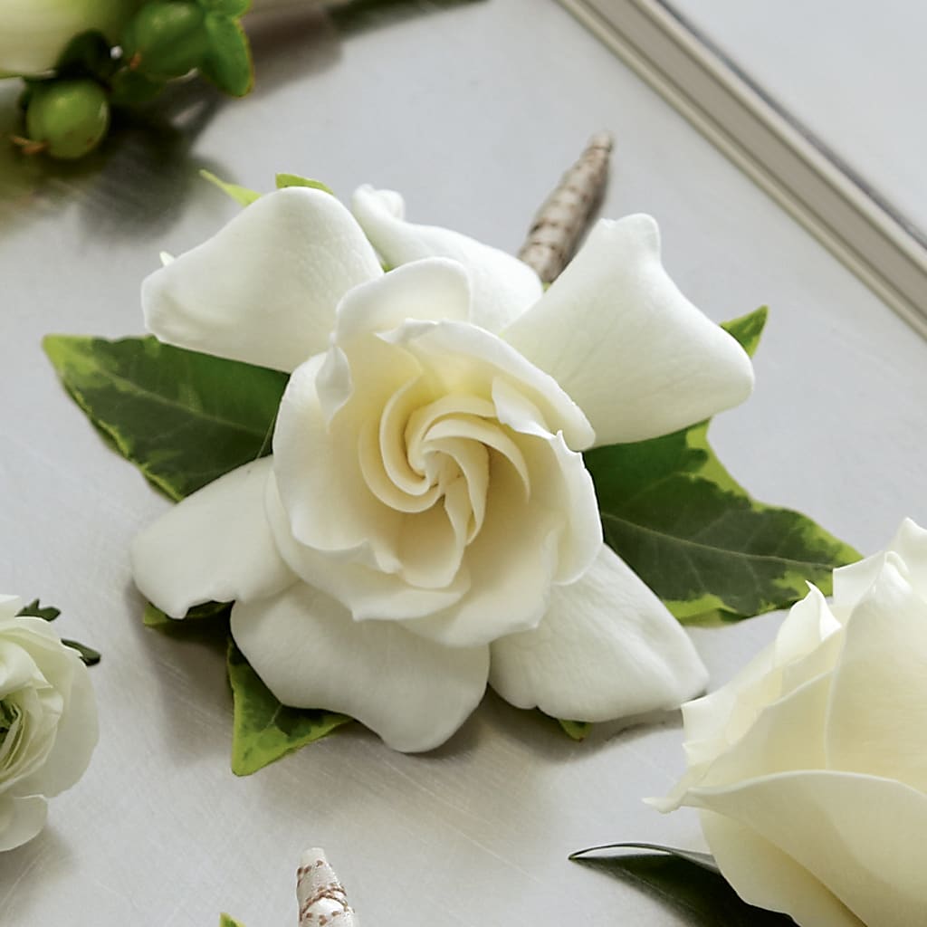 Gardenia Boutonniere – Blossom And Brew Co, Menasha WI