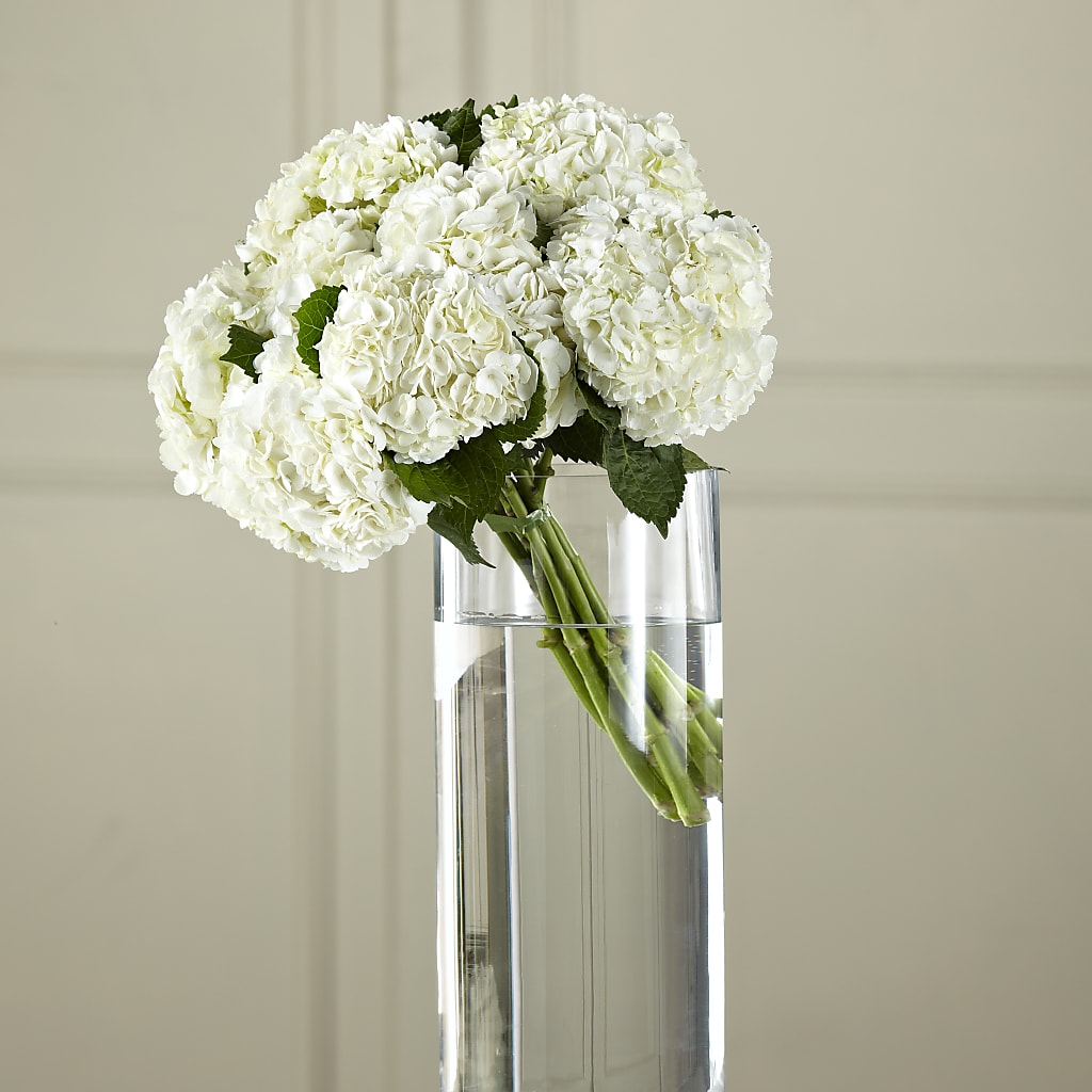 White Hydrangea Hand-Tied Bouquet – Blossom And Brew Co, Menasha WI