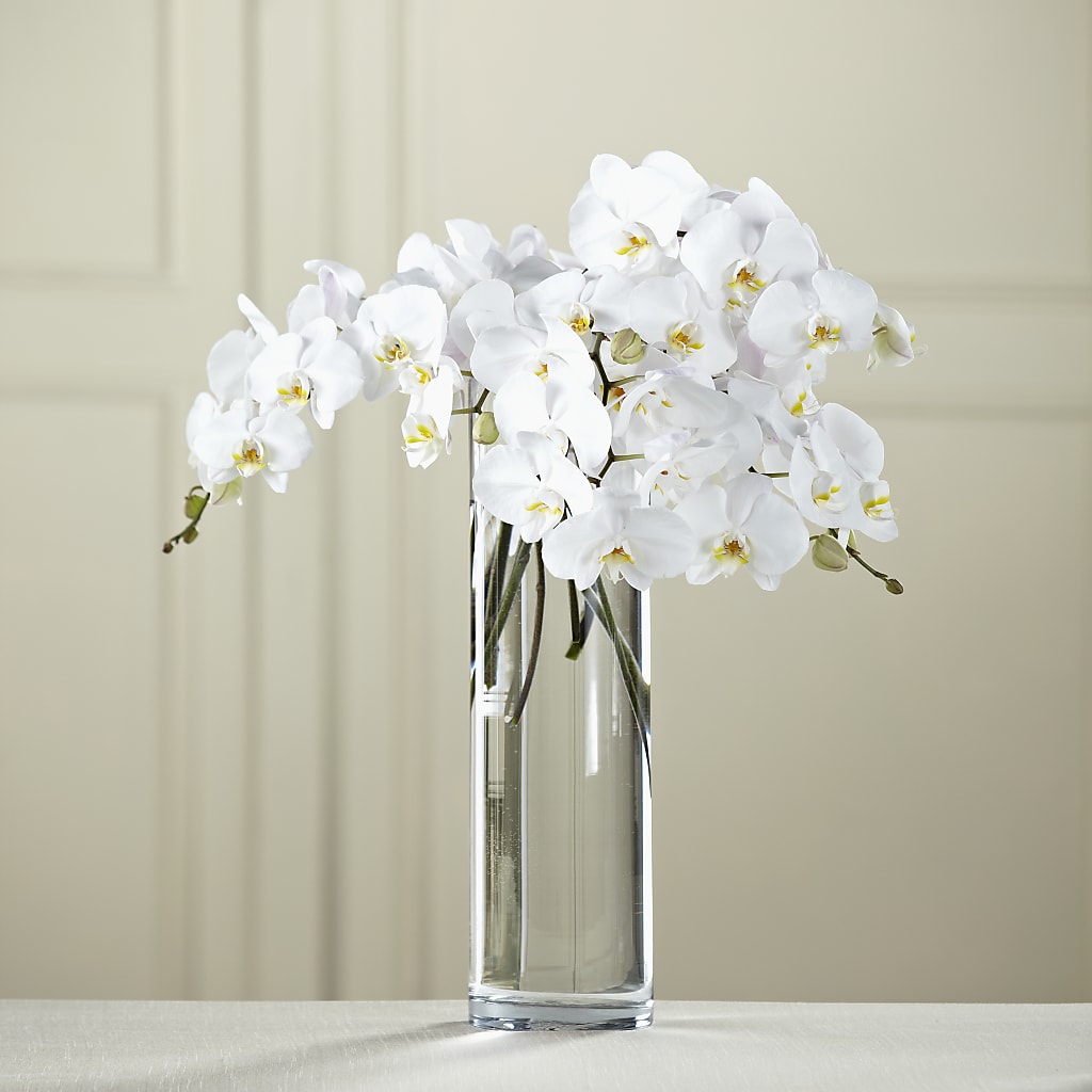 White Phalaenopsis Bouquet – Blossom And Brew Co, Menasha WI
