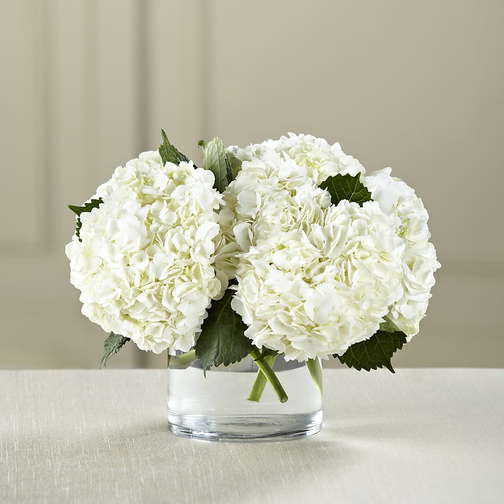 White Hydrangea Bouquet – Blossom And Brew Co, Menasha WI