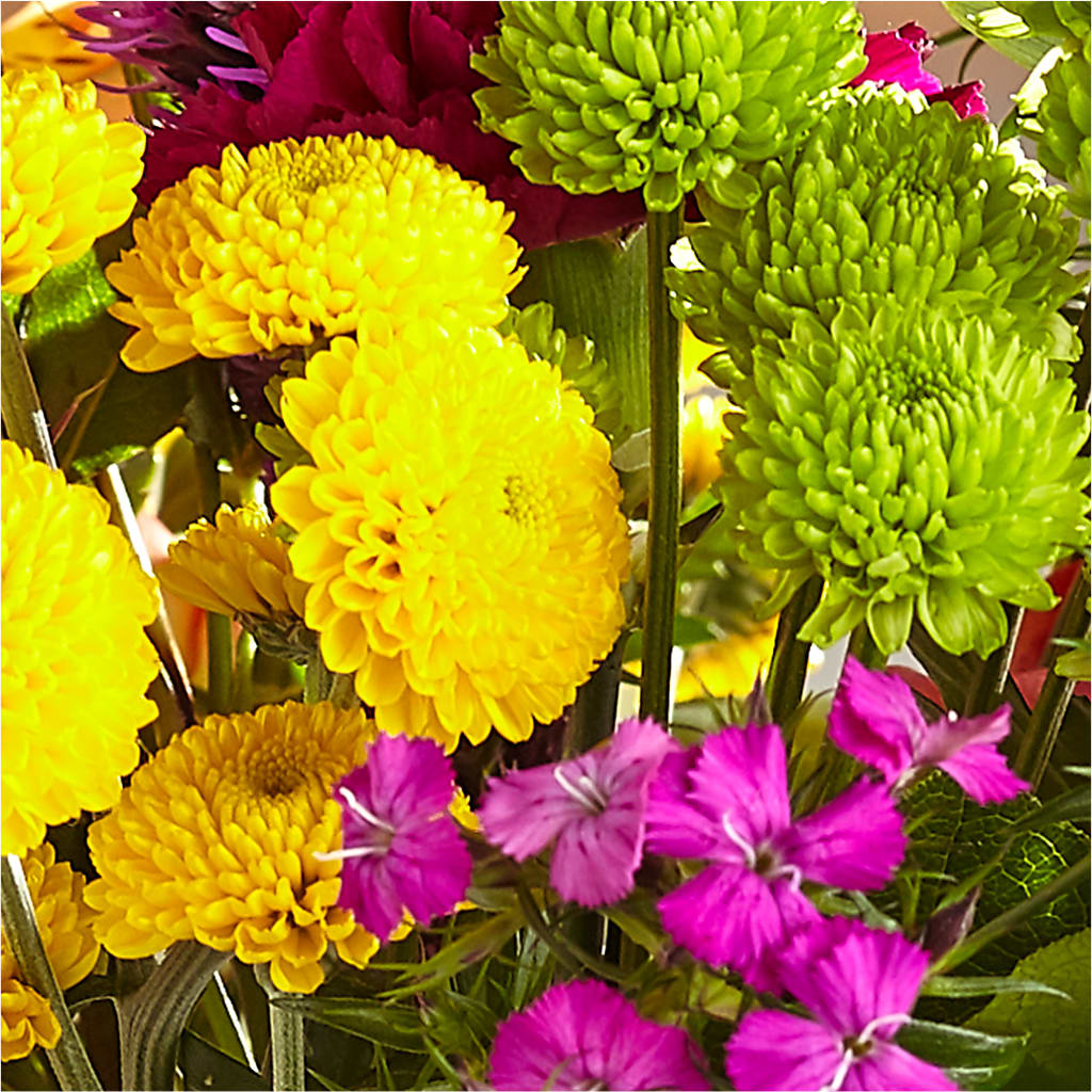 Bold & Bright – A Florist Original –  Blossom And Brew Co, Menasha WI