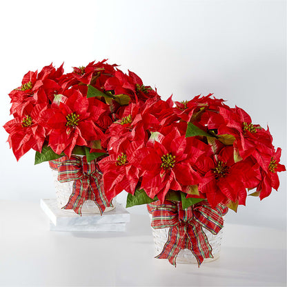 Happiest Holidays Poinsettia Bundle –  Blossom And Brew Co, Menasha WI