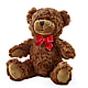 Adorable Plush Bear –  Blossom And Brew Co, Menasha WI