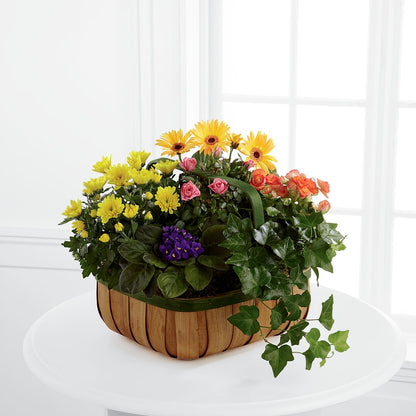 Gentle Blossoms Basket –  Blossom And Brew Co, Menasha WI