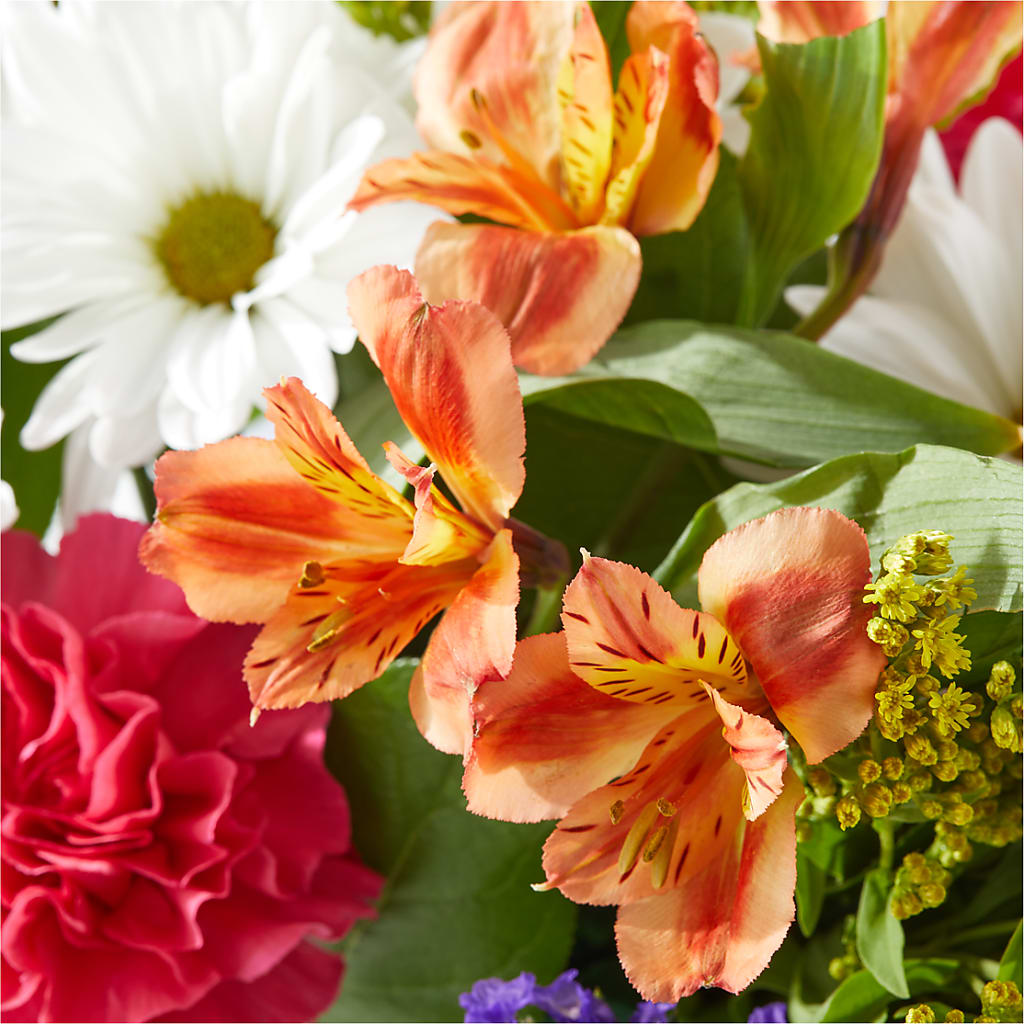 Oopsie Daisy Box Bouquet –  Blossom And Brew Co, Menasha WI