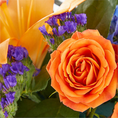 Radiant Citrus Box Bouquet –  Blossom And Brew Co, Menasha WI