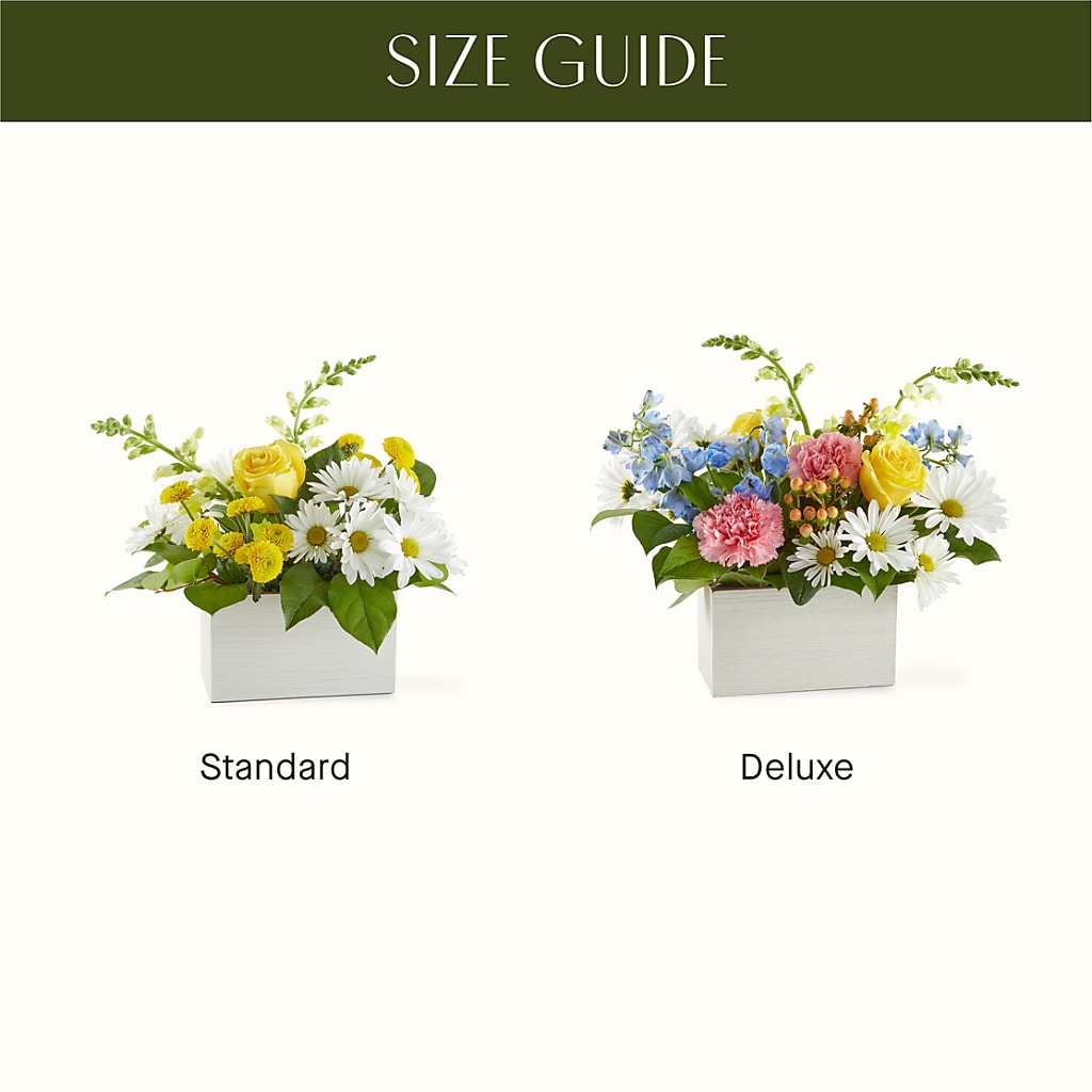Sun Salutation Box Bouquet –  Blossom And Brew Co, Menasha WI