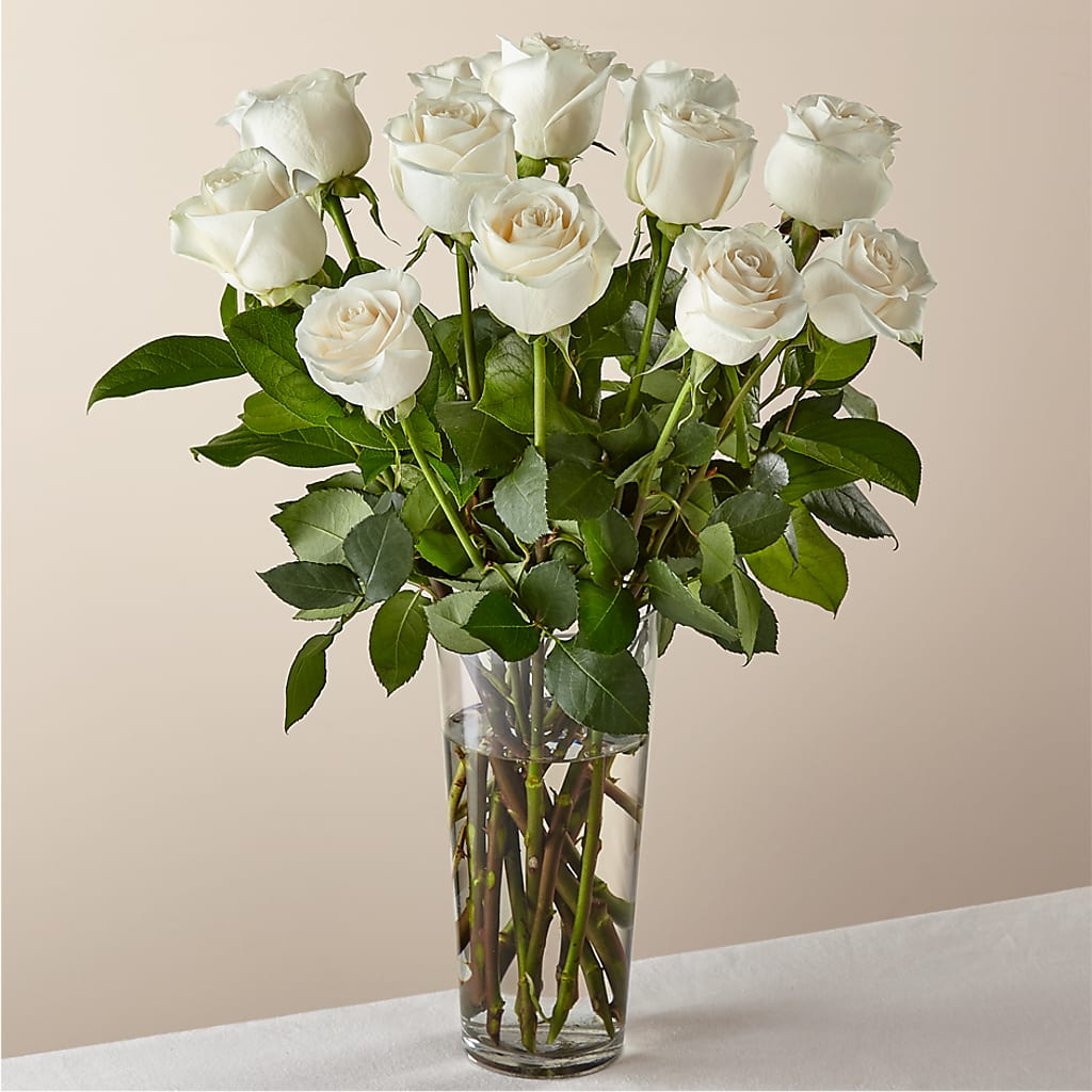Long Stem White Rose Bouquet –  Blossom And Brew Co, Menasha WI