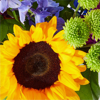 Catching Rays Bouquet –  Blossom And Brew Co, Menasha WI