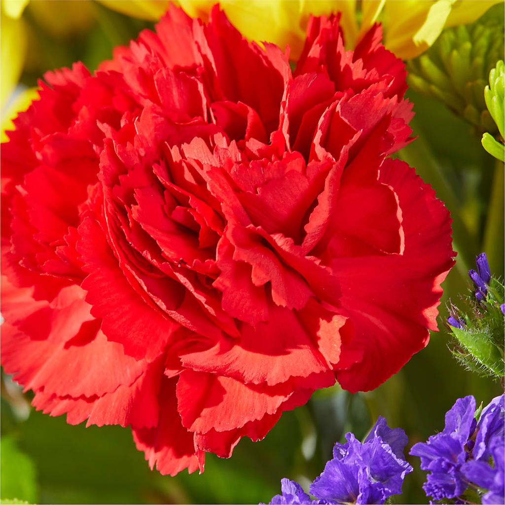 Brighter Days Bouquet –  Blossom And Brew Co, Menasha WI