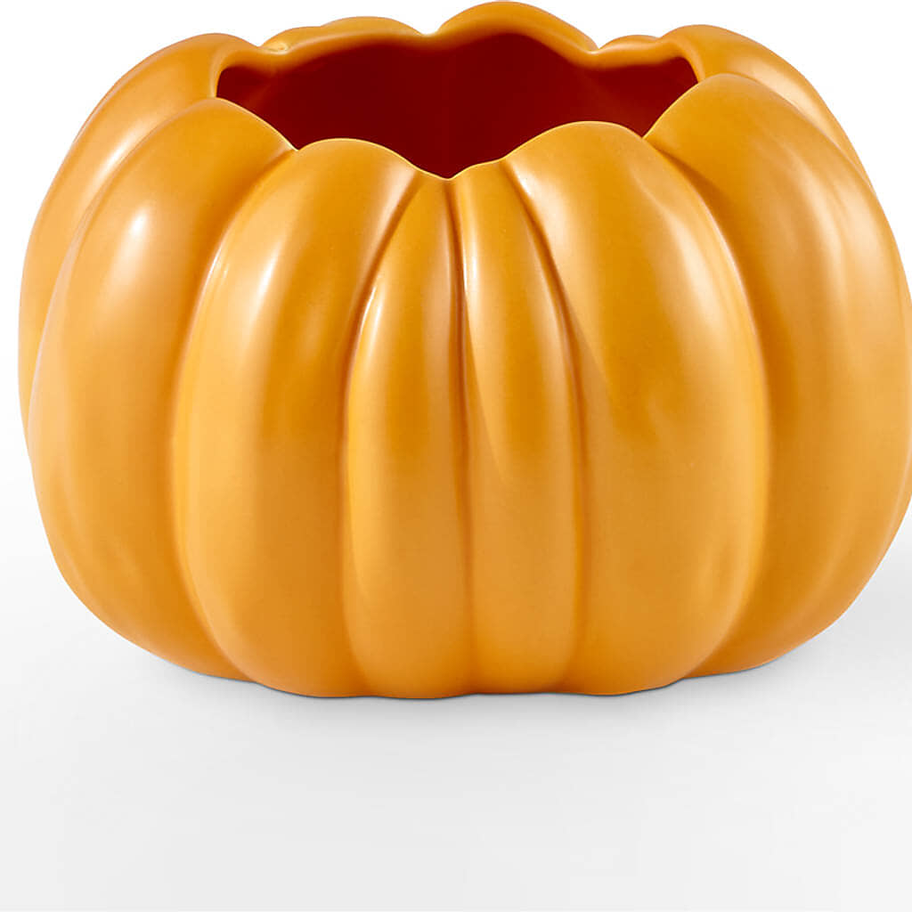 Golden Gourd Pumpkin Bouquet –  Blossom And Brew Co, Menasha WI