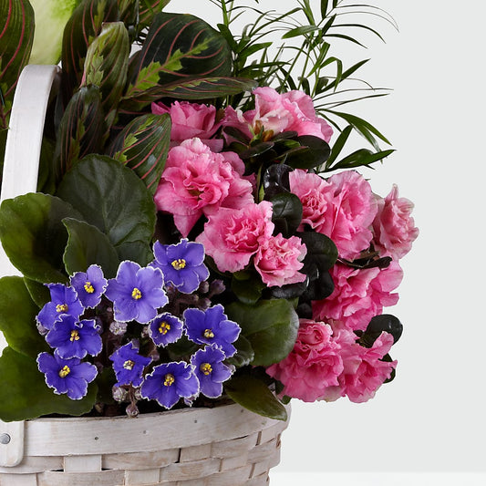 Peaceful Garden Planter –  Blossom And Brew Co, Menasha WI