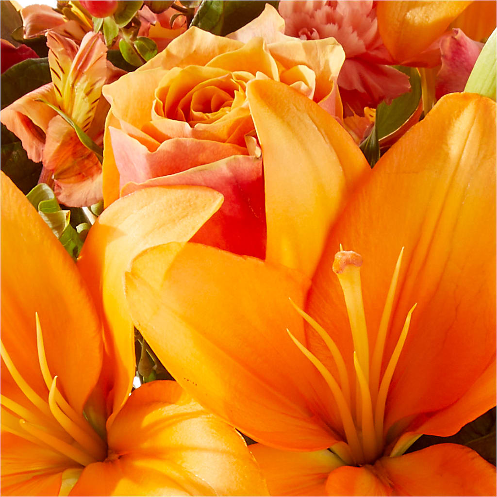 Afternoon Light Bouquet –  Blossom And Brew Co, Menasha WI
