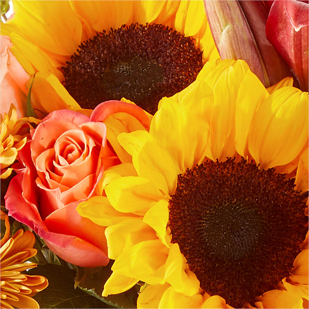 Acorn Lane Bouquet –  Blossom And Brew Co, Menasha WI