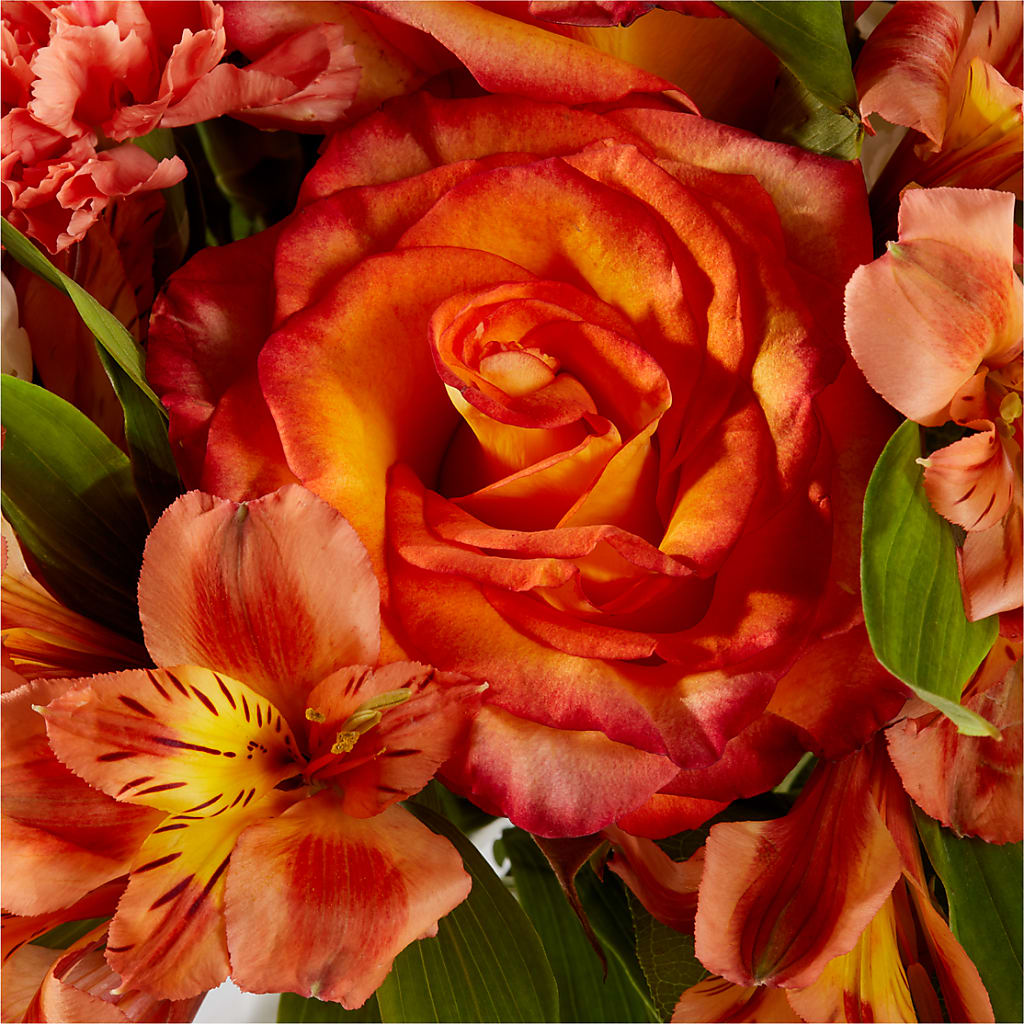 Apricot Glow Bouquet –  Blossom And Brew Co, Menasha WI