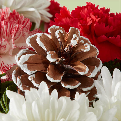 Candy Cane Lane Bouquet –  Blossom And Brew Co, Menasha WI