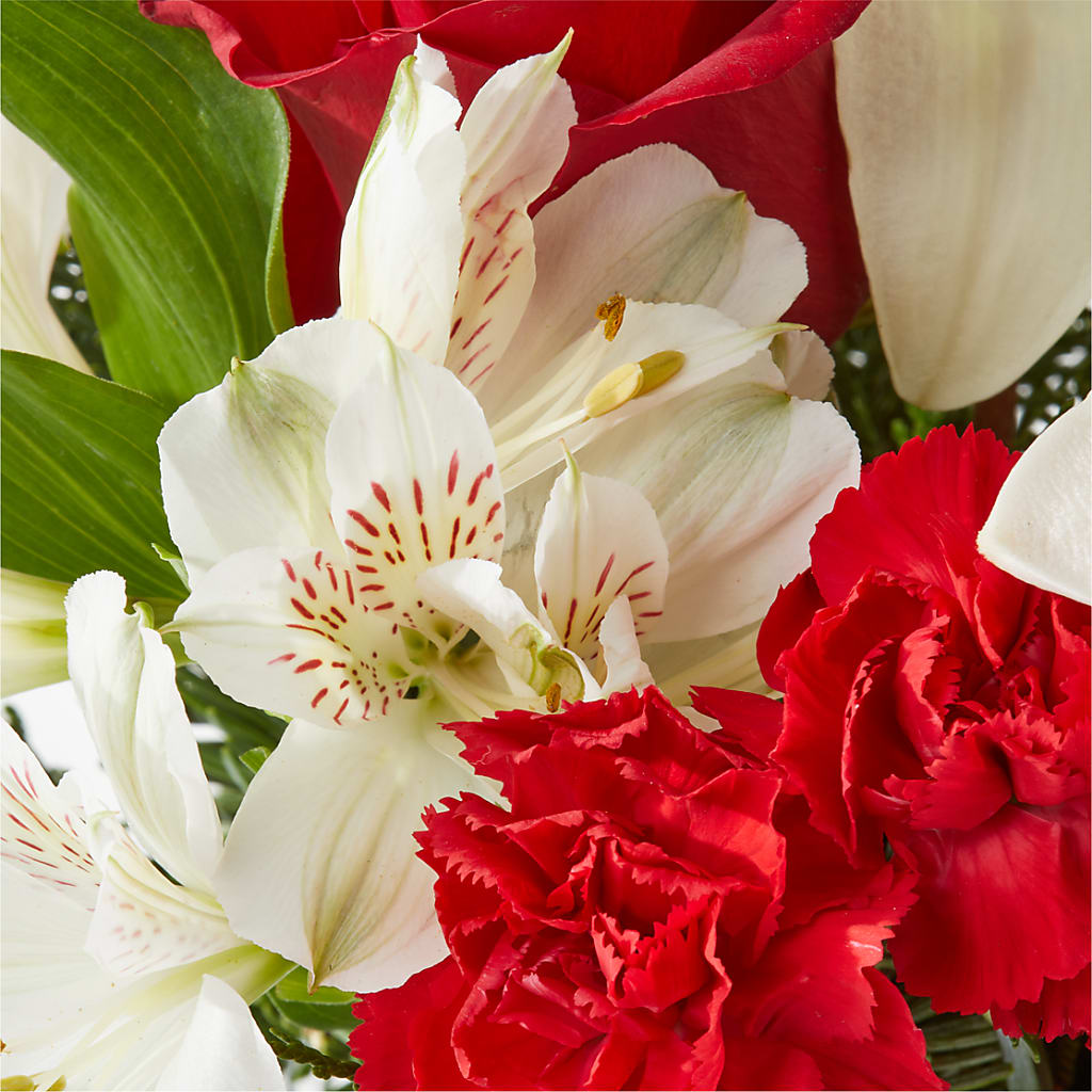 Holiday Season Bouquet –  Blossom And Brew Co, Menasha WI