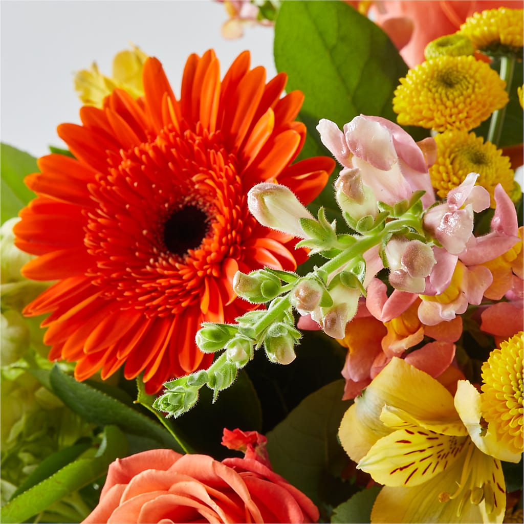 Autumn Sunshine Bouquet –  Blossom And Brew Co, Menasha WI