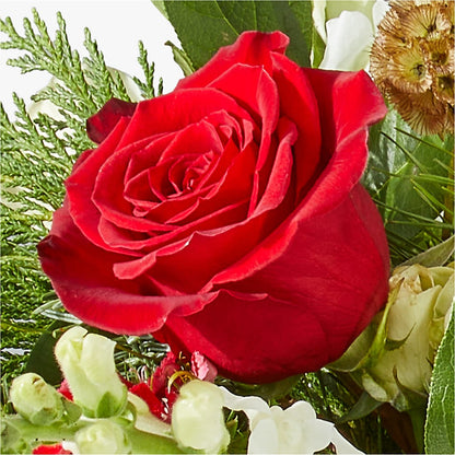 Deck the Halls Bouquet –  Blossom And Brew Co, Menasha WI