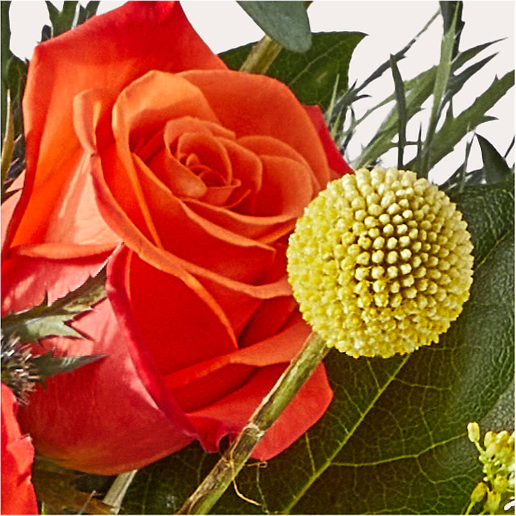 Disco Bouquet –  Blossom And Brew Co, Menasha WI