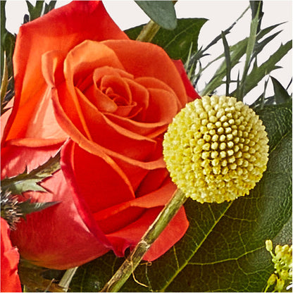 Disco Bouquet –  Blossom And Brew Co, Menasha WI