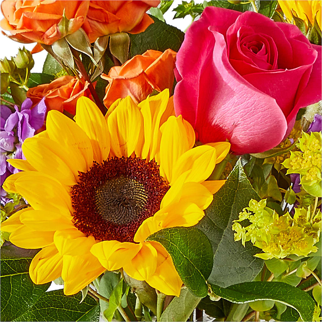 Vibrant Greetings Bouquet –  Blossom And Brew Co, Menasha WI