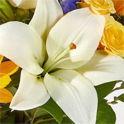 Wonderfully Sunny Bouquet –  Blossom And Brew Co, Menasha WI