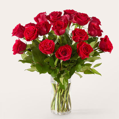 The One Red Rose Bouquet –  Blossom And Brew Co, Menasha WI