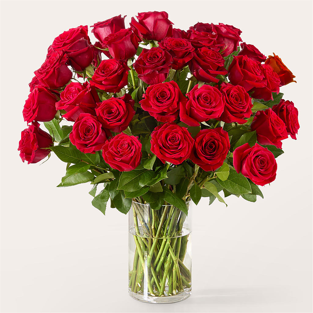 The One Red Rose Bouquet –  Blossom And Brew Co, Menasha WI
