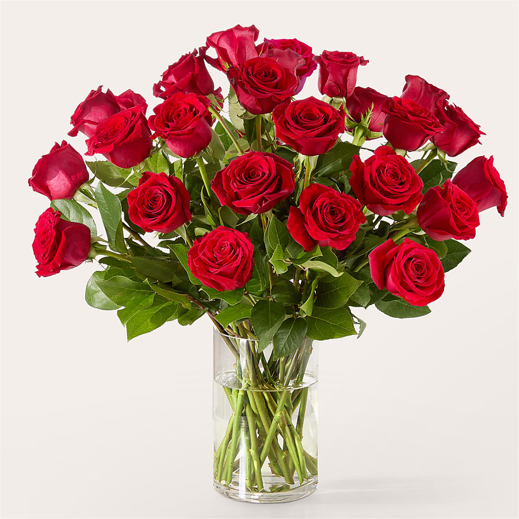 The One Red Rose Bouquet –  Blossom And Brew Co, Menasha WI