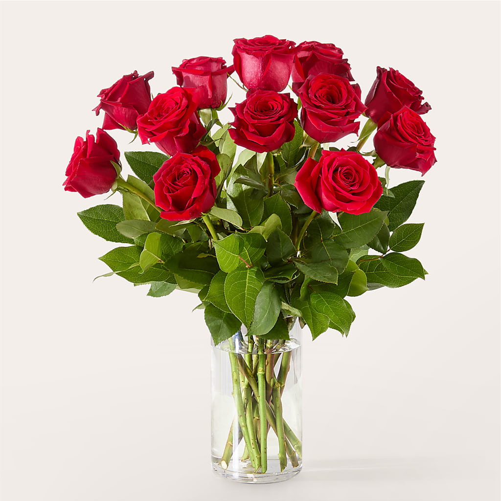The One Red Rose Bouquet –  Blossom And Brew Co, Menasha WI