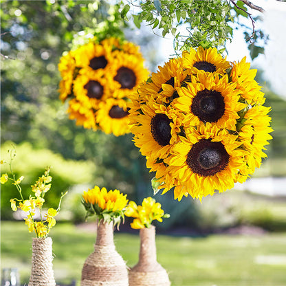 Sublime Garden Hanging Arrangement –  Blossom And Brew Co, Menasha WI