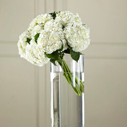 White Hydrangea Hand-Tied Bouquet –  Blossom And Brew Co, Menasha WI