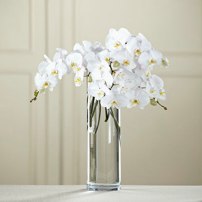 White Phalaenopsis Bouquet –  Blossom And Brew Co, Menasha WI
