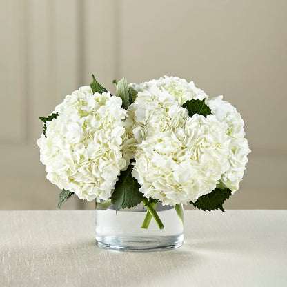 White Hydrangea Bouquet –  Blossom And Brew Co, Menasha WI